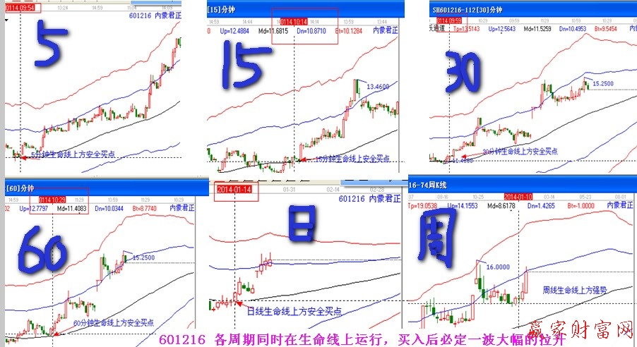 極反通道