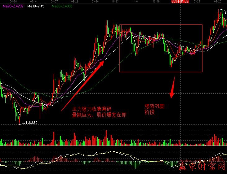 莊家吸籌的案例分析