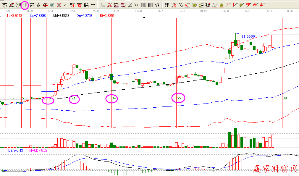 江恩時間序列