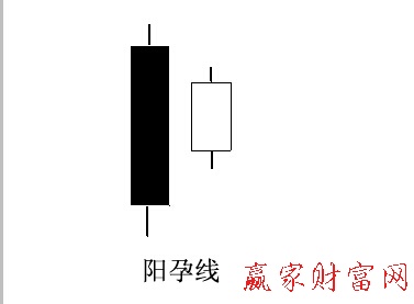 陽(yáng)孕線