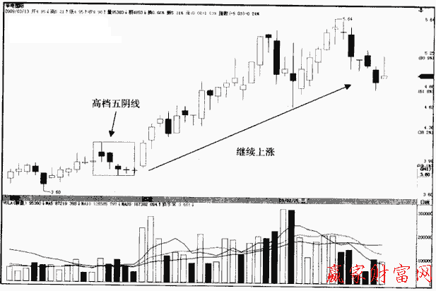 高檔五陽(yáng)線