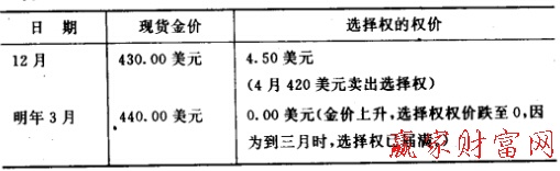 用選擇權交易對沖風險