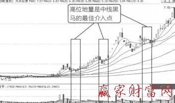 中線波段黑馬