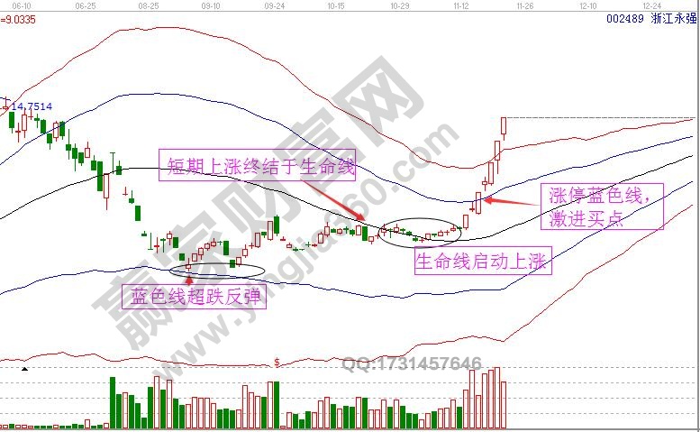 浙江永強極反通道走勢