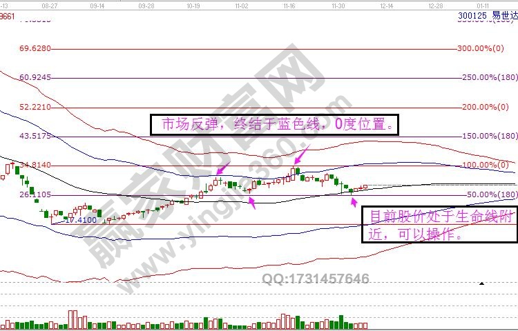 300125價(jià)格走勢(shì)分析