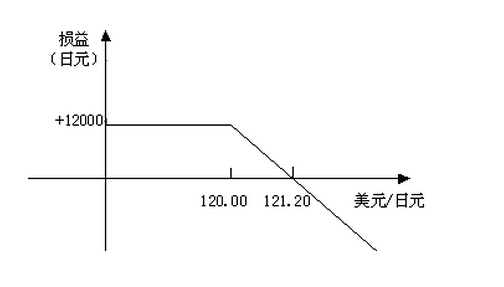 期權型外匯投資