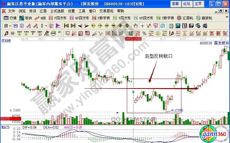 國發(fā)股份600538缺口理論