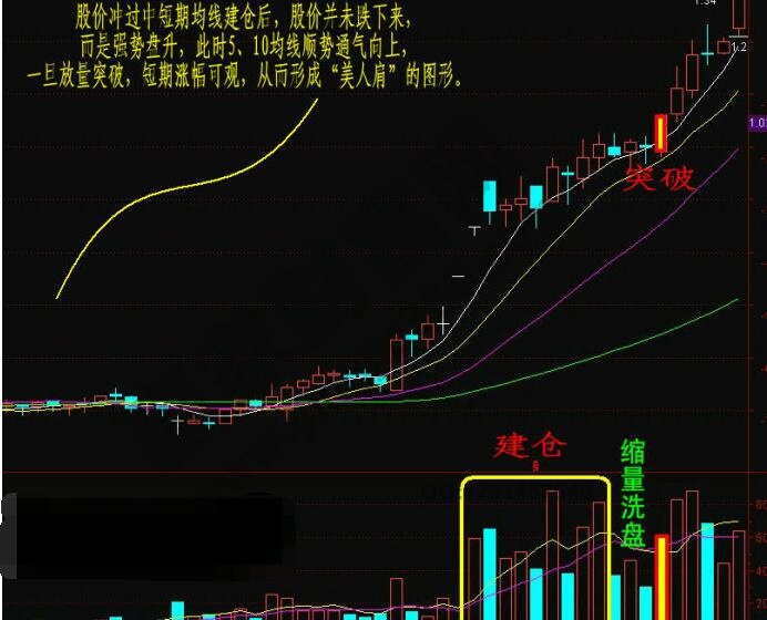 美人肩形態(tài)圖解