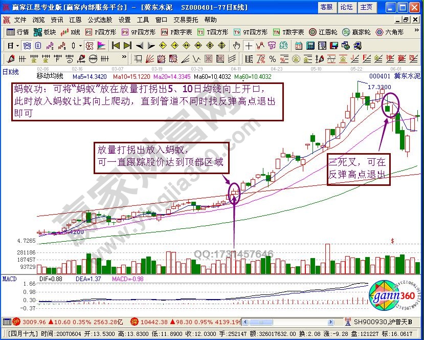 螞蟻功是什么