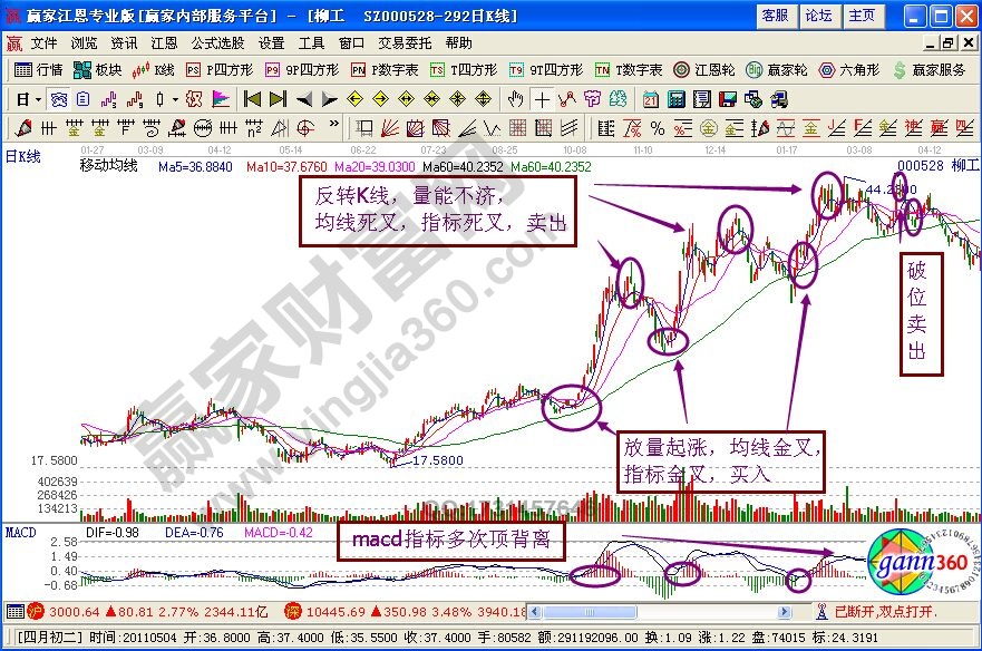 波浪式推進黑馬形態(tài)