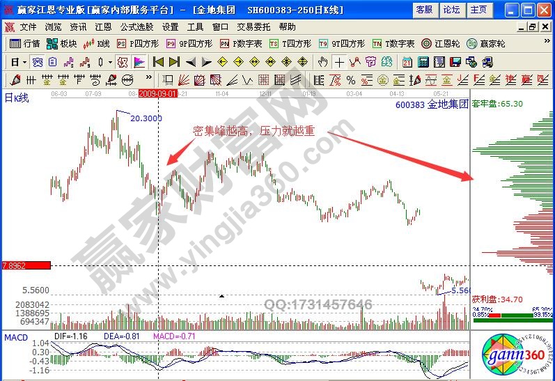 金地集團(tuán)600383籌碼分布實戰(zhàn)