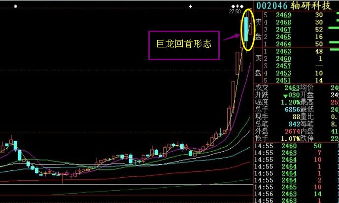 巨龍回首形態(tài) 的運用解析