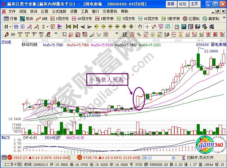 小鳥依人實戰(zhàn)案例