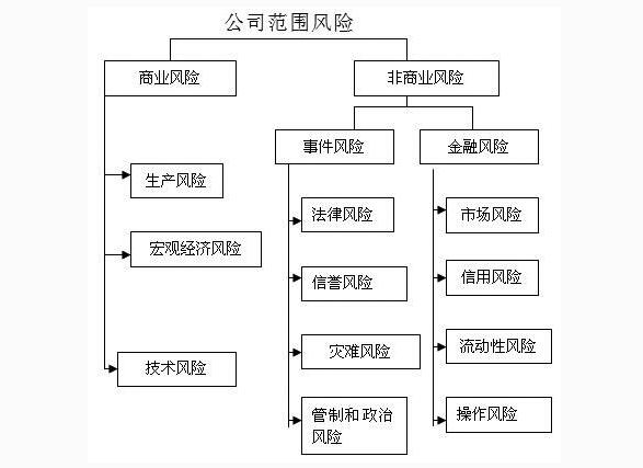 公司范圍之內(nèi)的風險