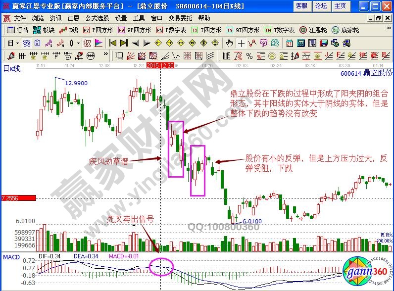 鼎立股份600614