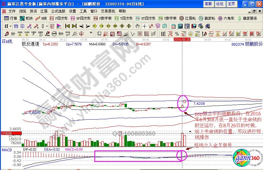 麗鵬股份002374