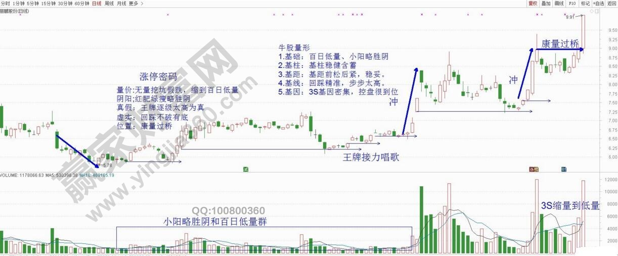 麗鵬股份牛股量形