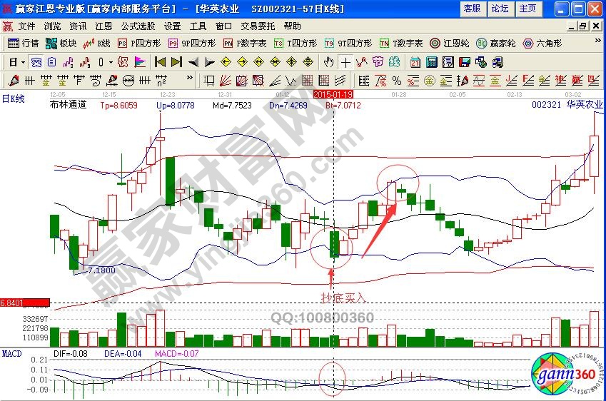 華英農(nóng)業(yè)抄底