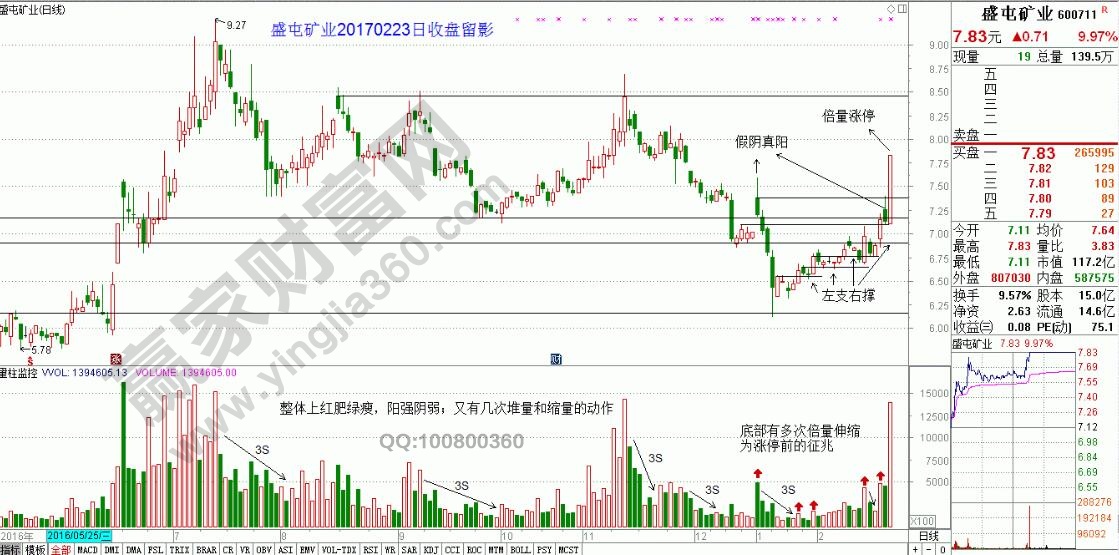 盛屯礦業(yè)600711