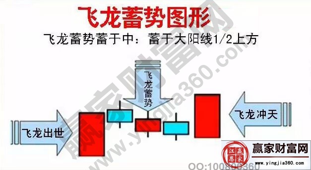 飛龍蓄勢蓄于中