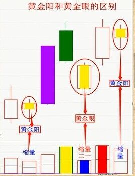 黃金陽和黃金眼的區(qū)別.jpg