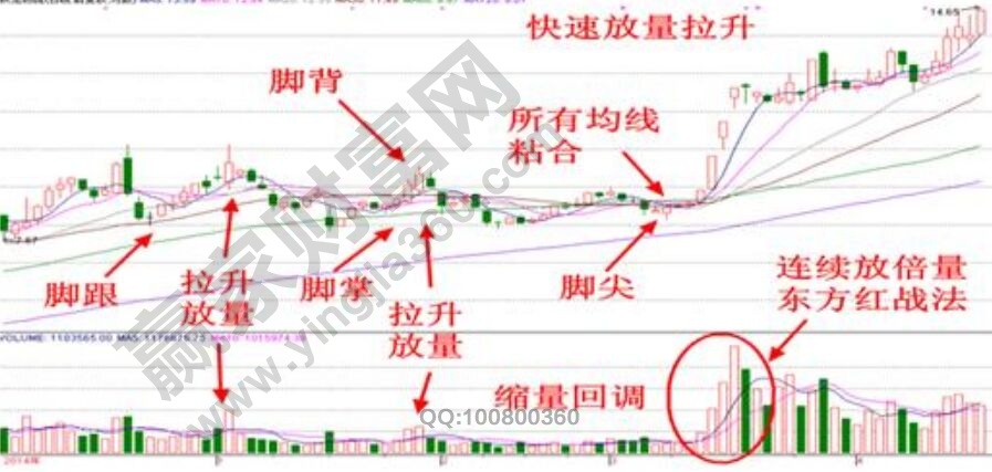 金雞獨(dú)立實(shí)戰(zhàn)圖形.jpg