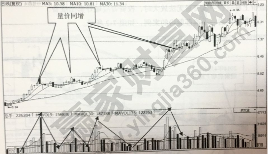 連環(huán)山丘獵殺強勢股