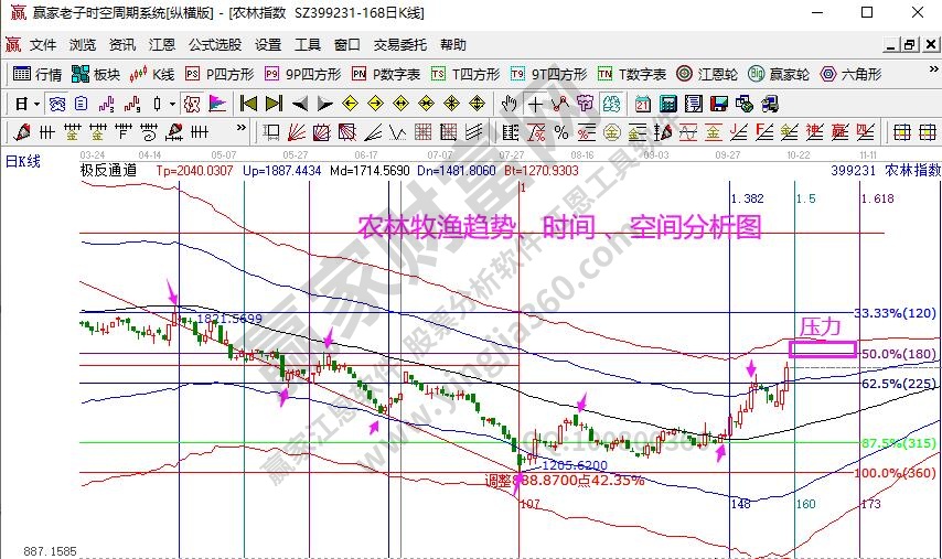 農(nóng)林牧漁分析