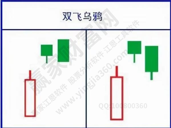 雙飛烏鴉